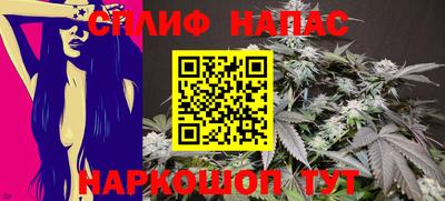 тгк Пенза