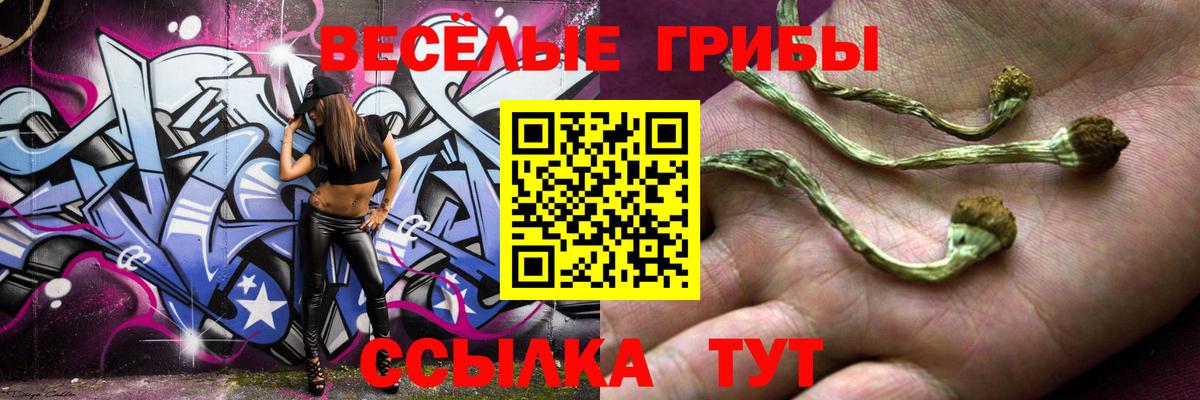 Псилоцибиновые грибы MAGIC MUSHROOMS  Вход с VPN  Сафоново 